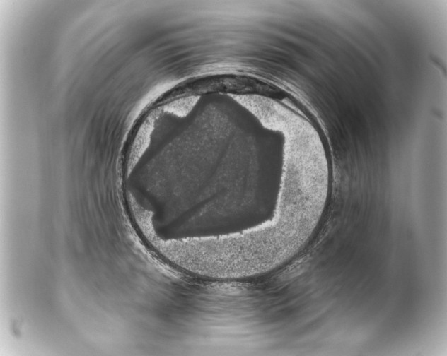 X0000101461045200808041037
