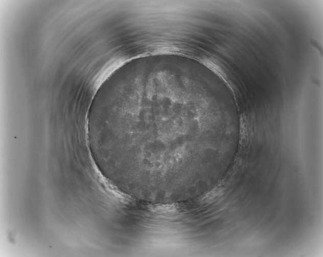 X0000101461047200808041037