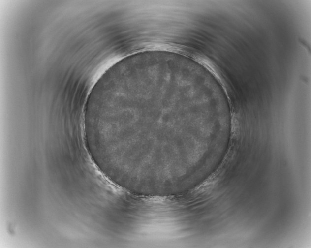 X0000101461048200808041037