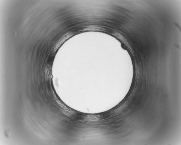 X0000101461049200808041037