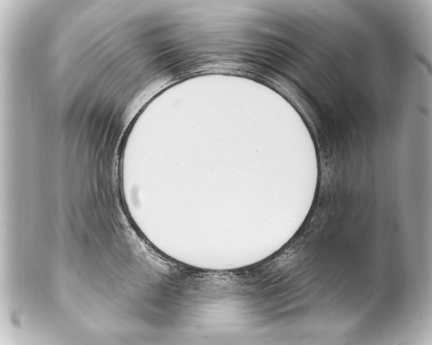 X0000101461050200808041037