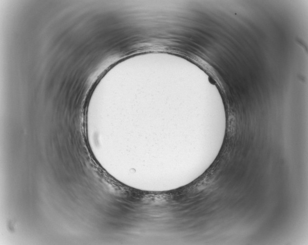 X0000101461051200808041037