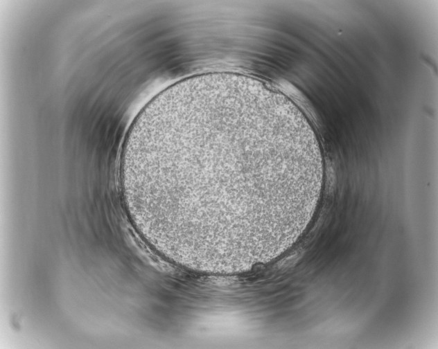 X0000101461052200808041037