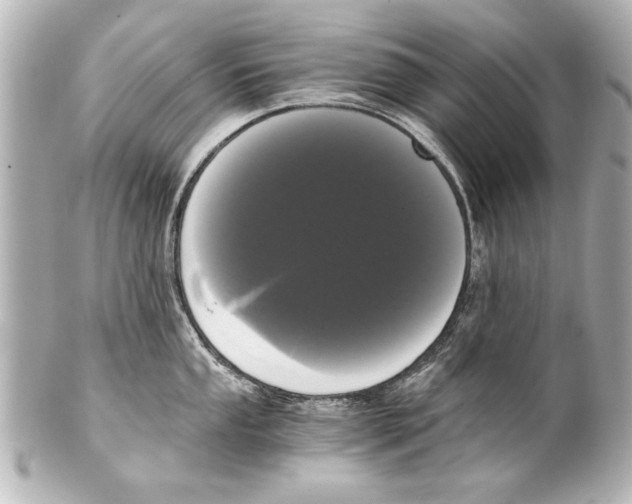 X0000101461053200808041037