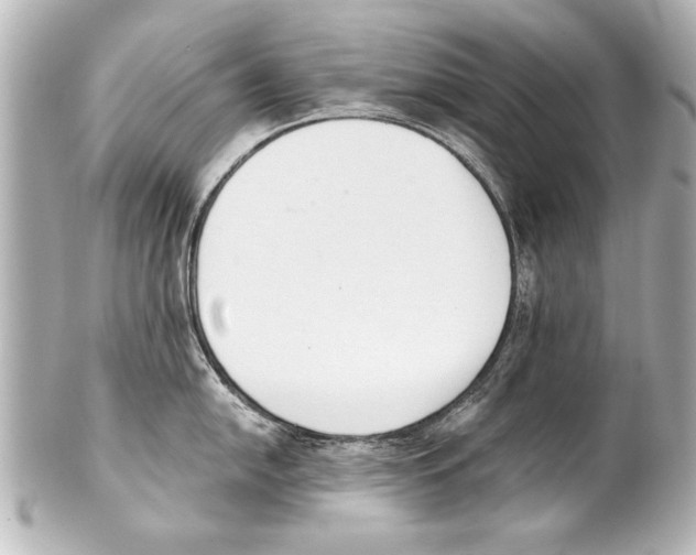 X0000101461054200808041037