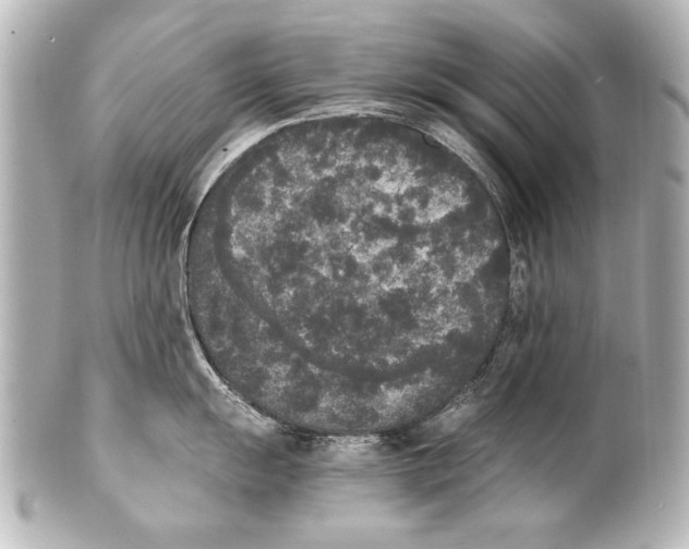 X0000101461055200808041037