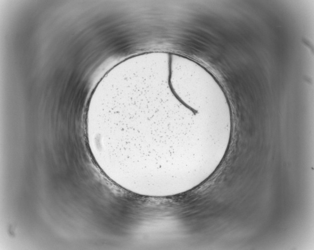 X0000101461056200808041037