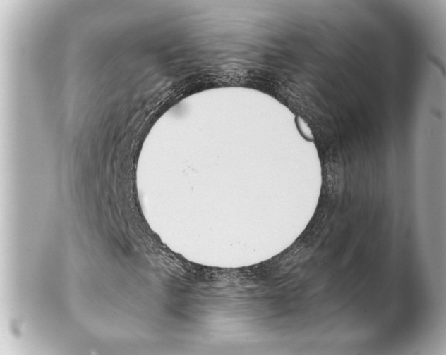 X0000101461057200808041037