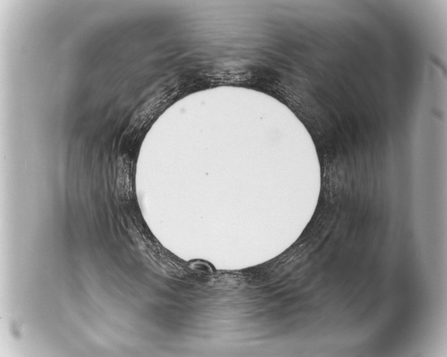 X0000101461058200808041037