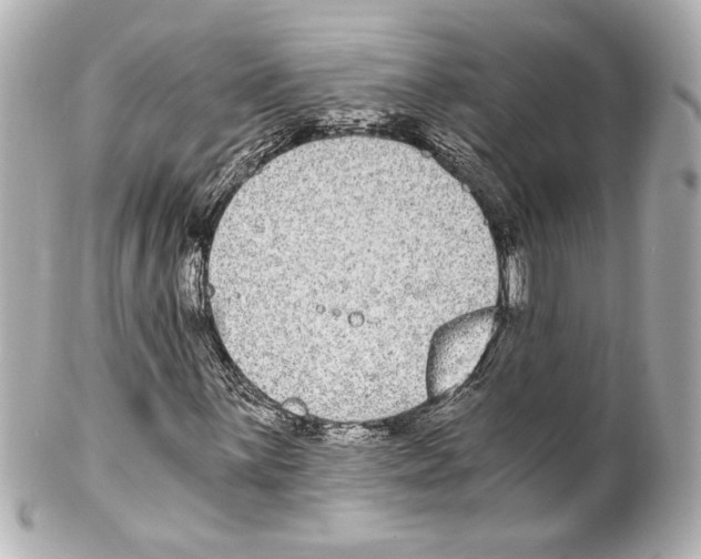 X0000101461059200808041037