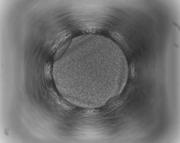 X0000101461060200808041037