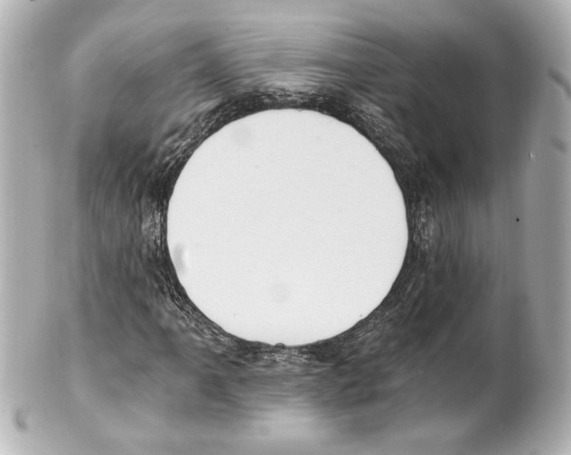 X0000101461061200808041037