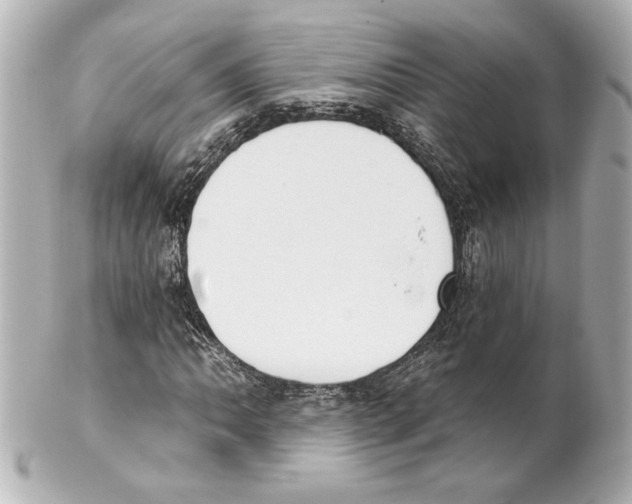 X0000101461062200808041037