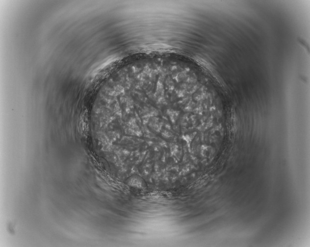 X0000101461063200808041037