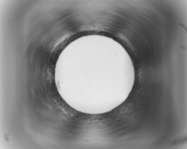 X0000101461064200808041037