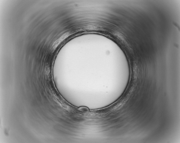 X0000101461065200808041037