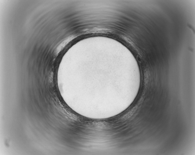 X0000101461066200808041037