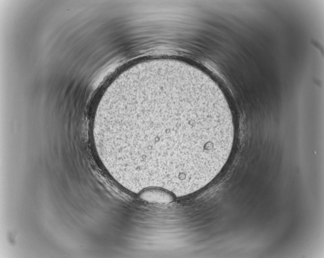 X0000101461067200808041037