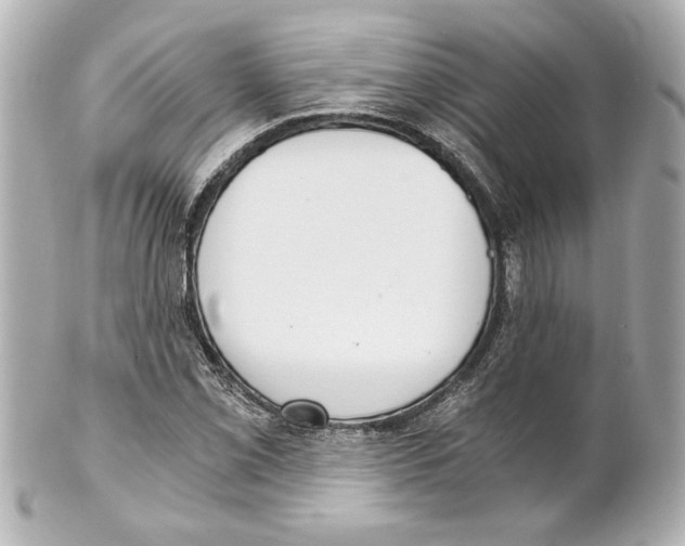 X0000101461069200808041037