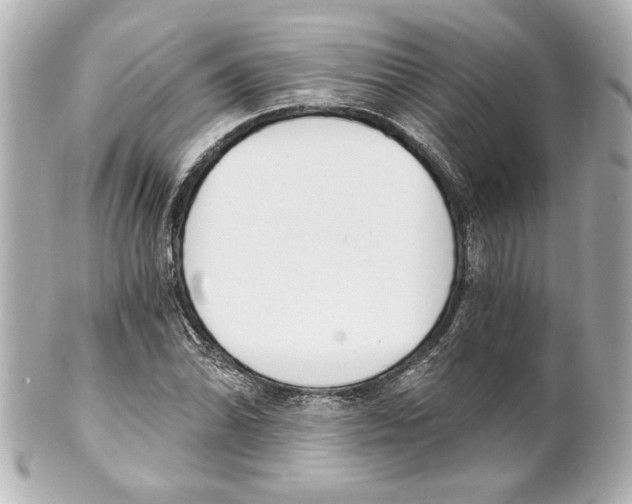 X0000101461070200808041037