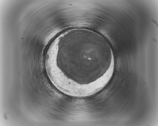 X0000101461071200808041037