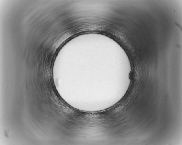 X0000101461073200808041036