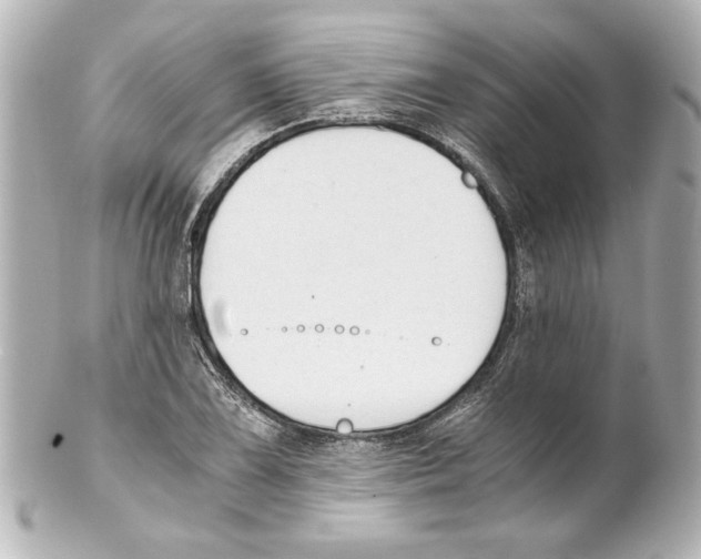X0000101461075200808041036