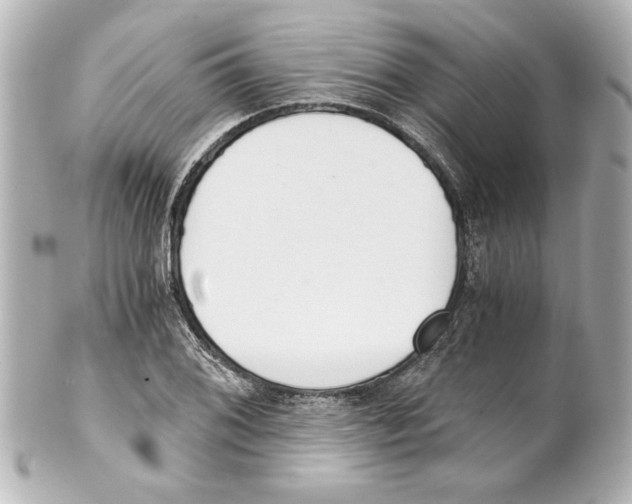 X0000101461076200808041036