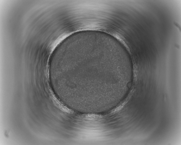 X0000101461077200808041036