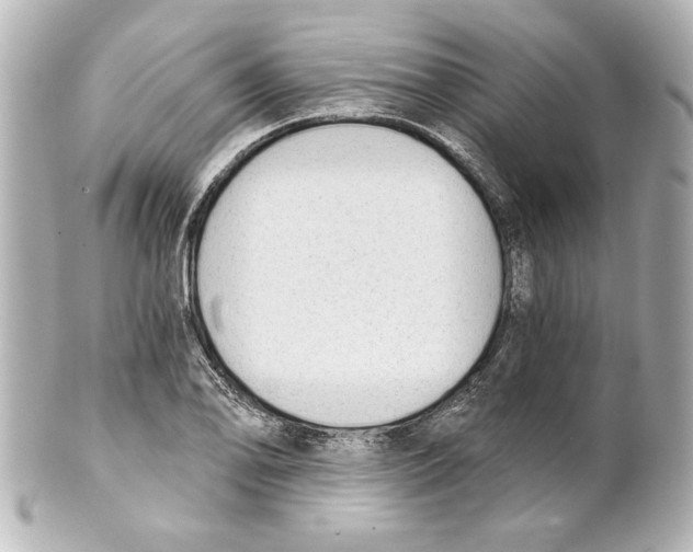 X0000101461078200808041036