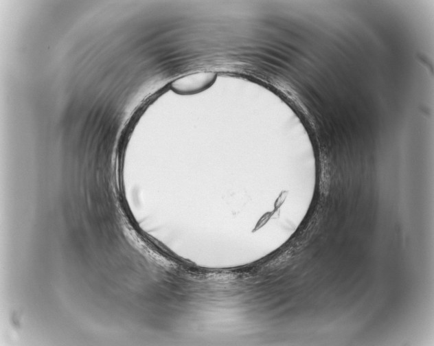 X0000101461080200808041036