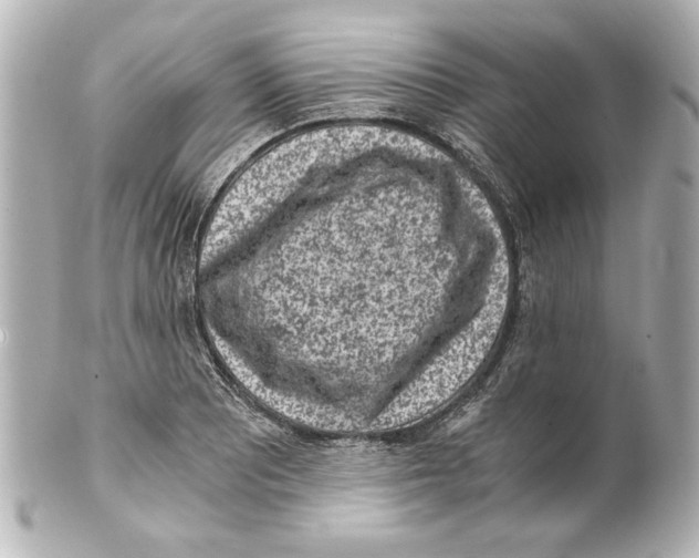 X0000101461081200808041036