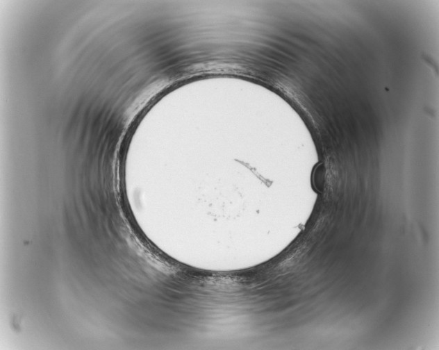 X0000101461082200808041036