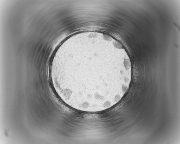 X0000101461083200808041036