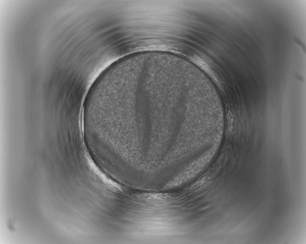 X0000101461084200808041036