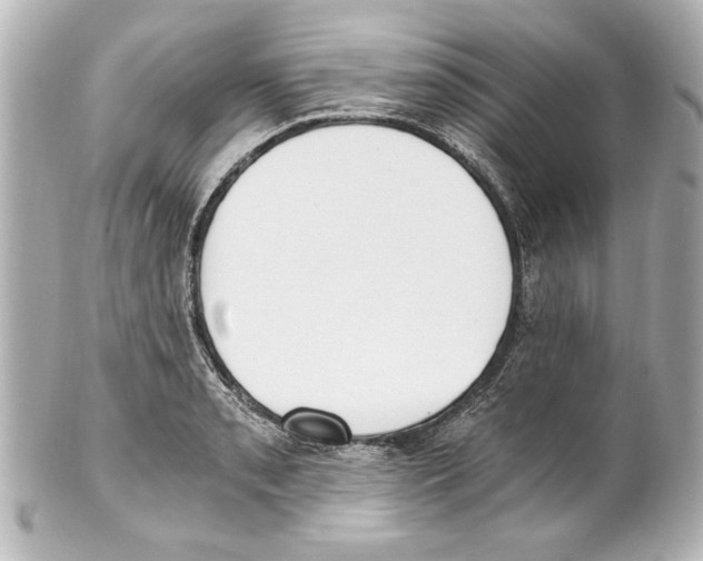 X0000101461085200808041036