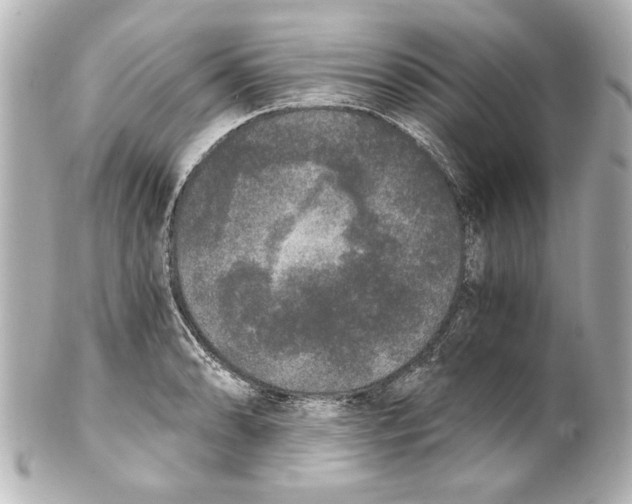 X0000101461086200808041036