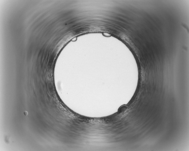 X0000101461089200808041036