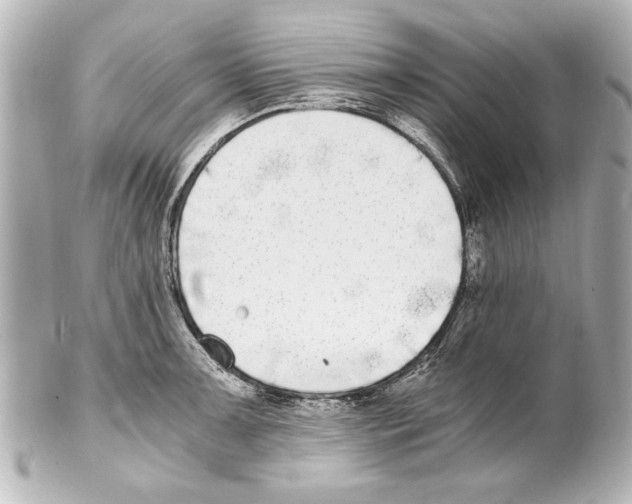 X0000101461091200808041036