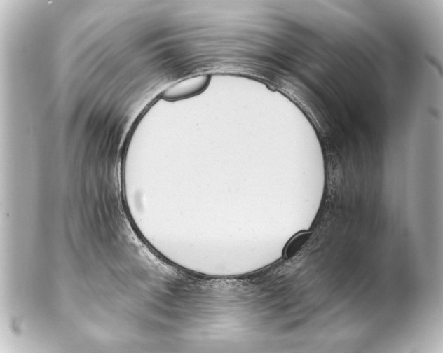 X0000101461092200808041036