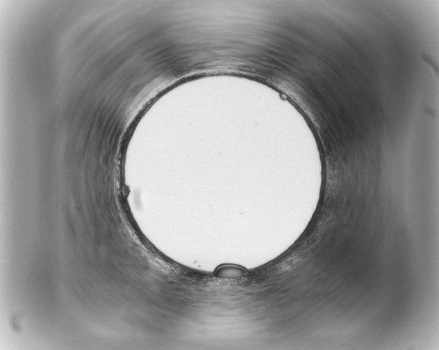 X0000101461093200808041036