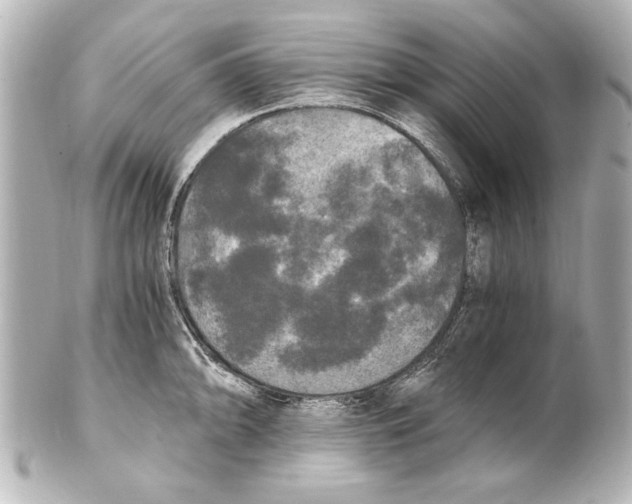 X0000101461094200808041036
