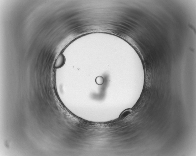 X0000101461096200808041036