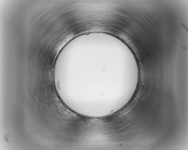 X0000101461097200808041036