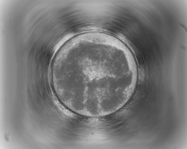 X0000101461098200808041036