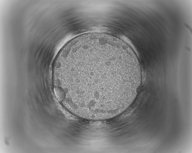 X0000101461099200808041036