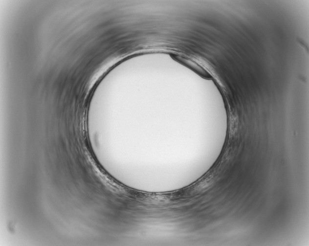 X0000101461101200808041036