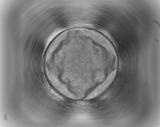 X0000101461102200808041036