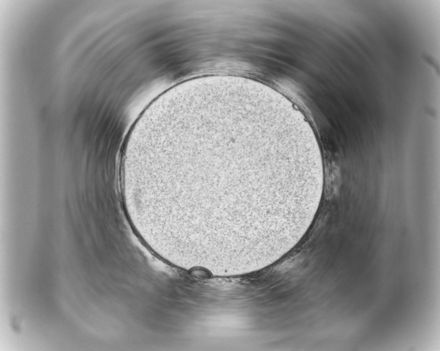 X0000101461103200808041036