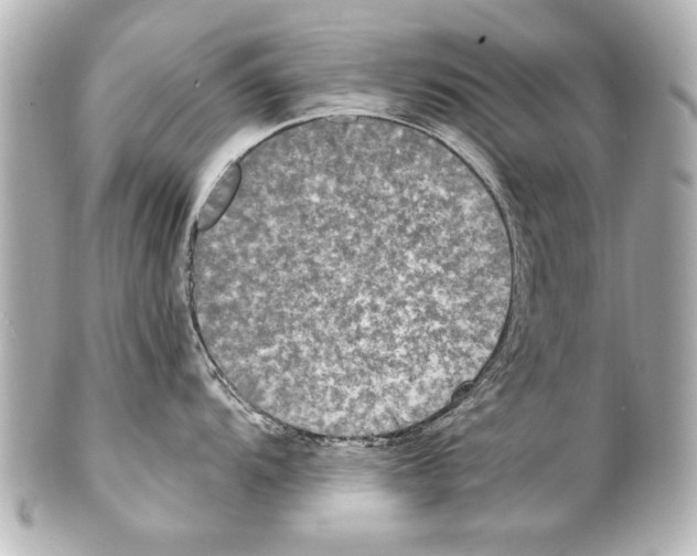 X0000101461104200808041036